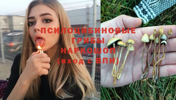 гашик Баксан