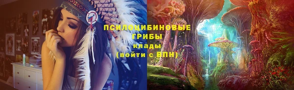 гашик Баксан