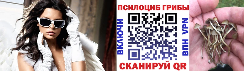 Псилоцибиновые грибы Magic Shrooms  Лабинск 